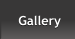 Gallery Gallery